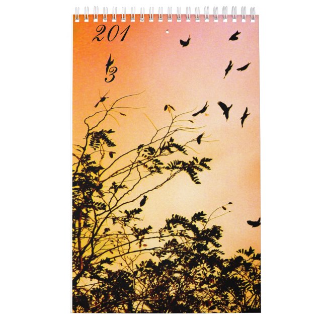 Calendário esperanças novas (Capa)