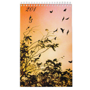 Calendário esperanças novas