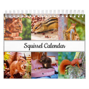 Calendário Esquilo