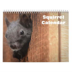 Calendário Esquilo 2024