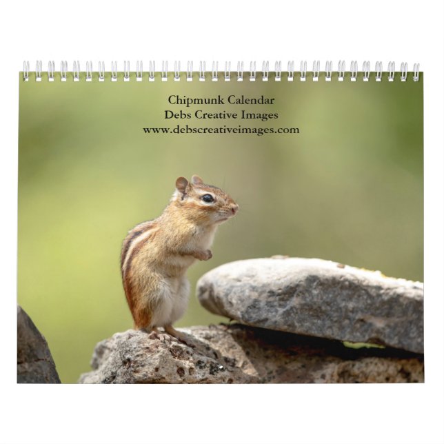 Calendário Esquilo-listrado 2026 (Capa)