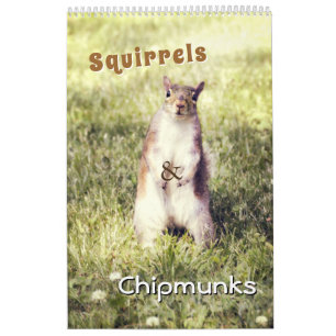Calendário Esquilos bonitos e Esquilos Fotos animais engraçad