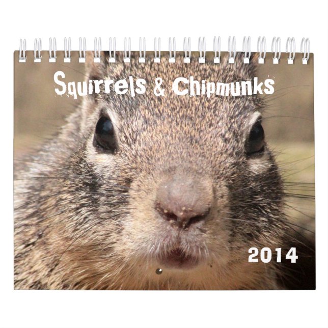 Calendário Esquilos & Chipmunks (Capa)