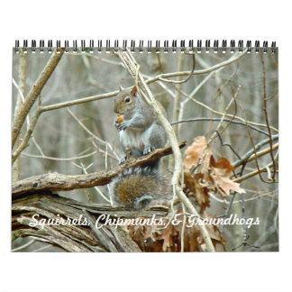 Calendário - Esquilos Chipmunks Groundhogs