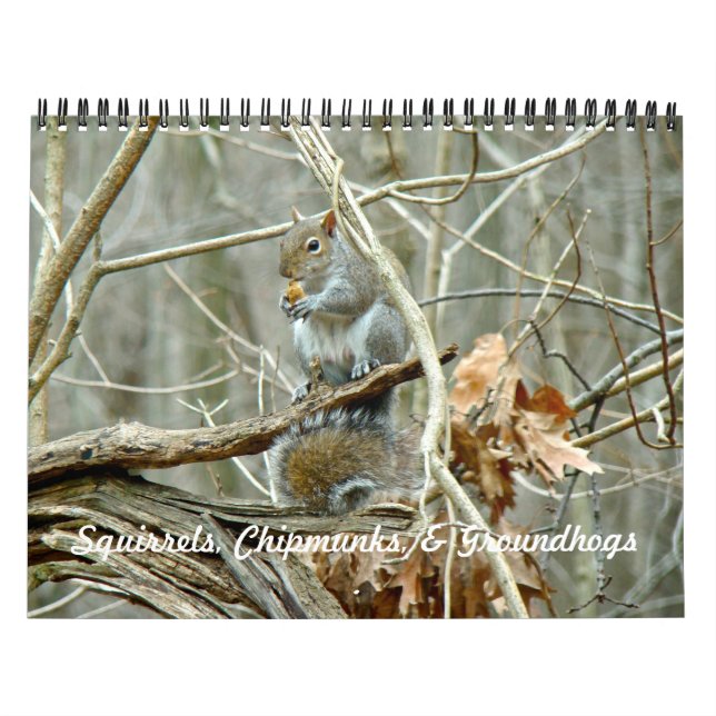 Calendário - Esquilos Chipmunks Groundhogs (Capa)