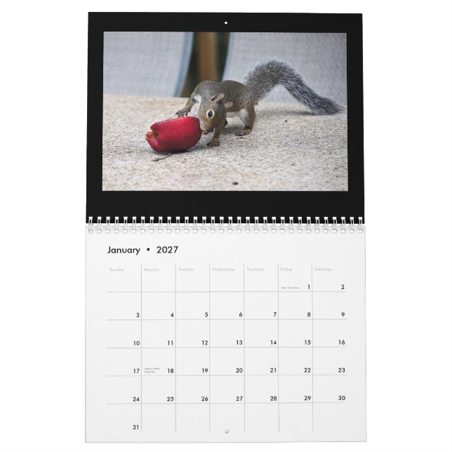 Calendário Esquilos e seus tesouros (Jan 2027)