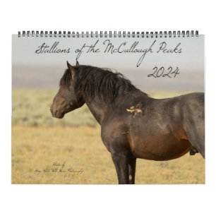 Calendário Estalhões dos Picos McCullough