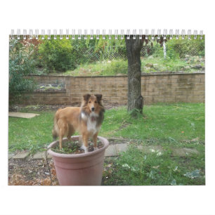 Calendário estante de bobo