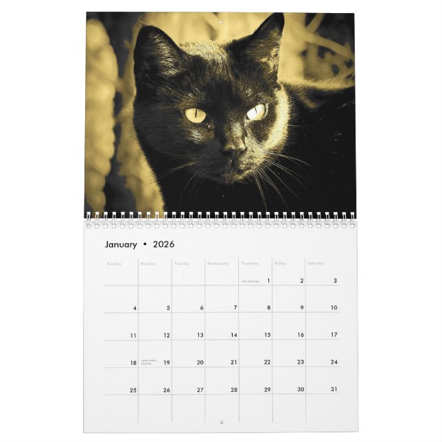 Calendário Estilo do gato do DJ em preto e branco (Jan 2026)