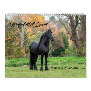 Calendário Estilo Frísia Stallion Wolfert 467