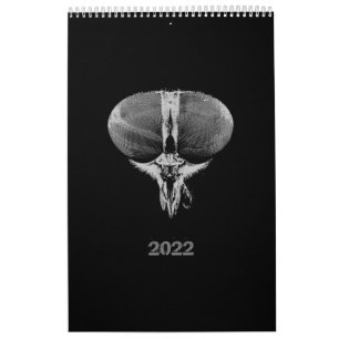 Calendário Estilo minimalista preto e branco 2022 Insetos 202