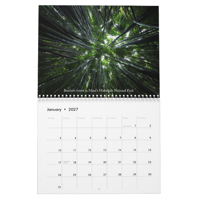 Calendário Estimando a natureza - Vol 1 (Jan 2027)