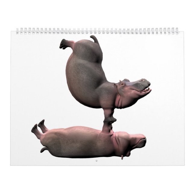 Calendário Estranho Funny Hippos 2025 Kalender (Capa)
