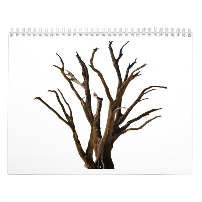 Calendário Estrutura da árvore (Capa)