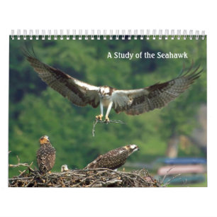 Calendário Estudo do Seahawk