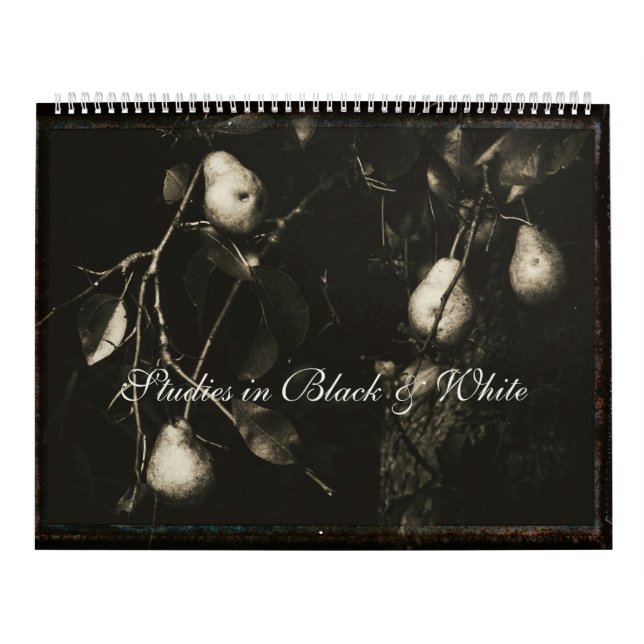 Calendário ~ Estudos em Preto e Branco (Capa)