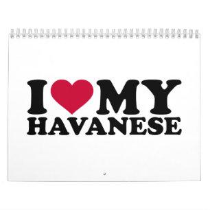Calendário Eu amo meu Havanese