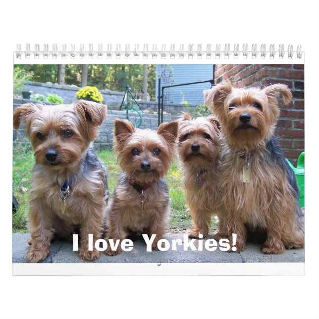Calendário Eu amo Yorkies! (Capa)