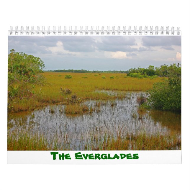 Calendário Everglades (Capa)