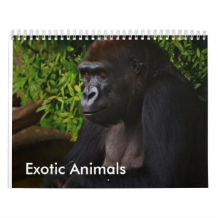 Calendário exótico dos animais