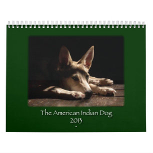 Calendário EXPIRADO de 2013 AUXÍLIOS