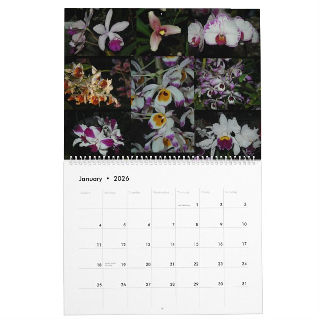 Calendário Expo pacífica da orquídea (Jan 2026)
