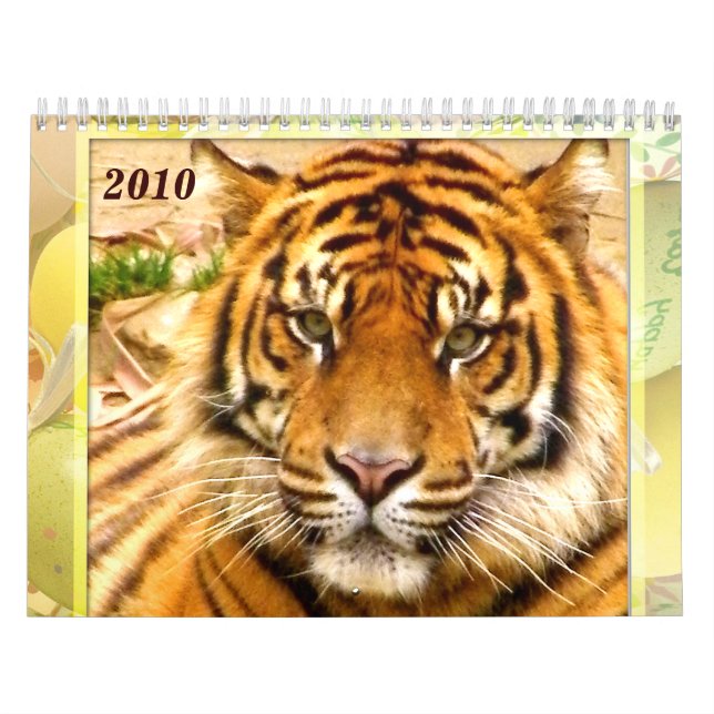 Calendário Expression_2010 do Tiger & Lion (Capa)