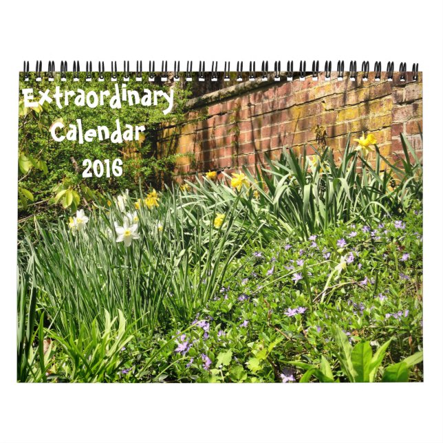 Calendário Extraordinário-2016 (Capa)