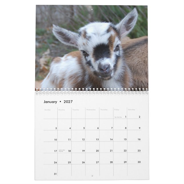 Calendário extremo do Cuteness da fazenda (Jan 2027)