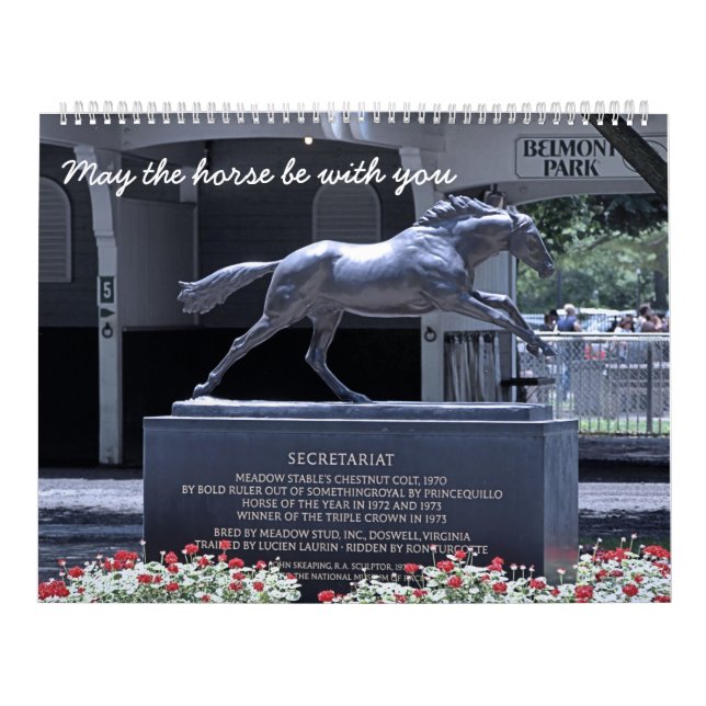 Calendário Fã de competência (Capa)