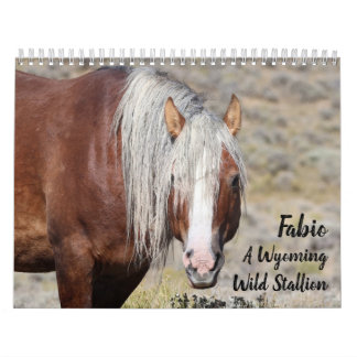 Calendário Fabio A Wild Wyoming Stallion