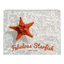 Calendário Fabuloso Starfish