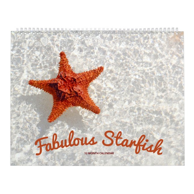 Calendário Fabuloso Starfish (Capa)