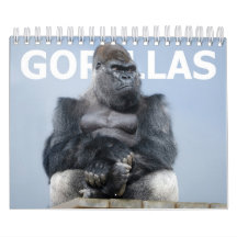 Família de Gorilas 2027 - Tropa do Silverback Oumb
