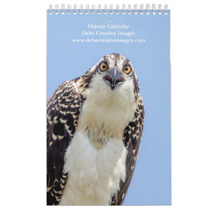 Calendário Família Osprey 2024