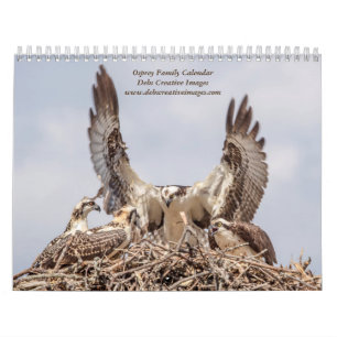 Calendário Família Osprey 2024