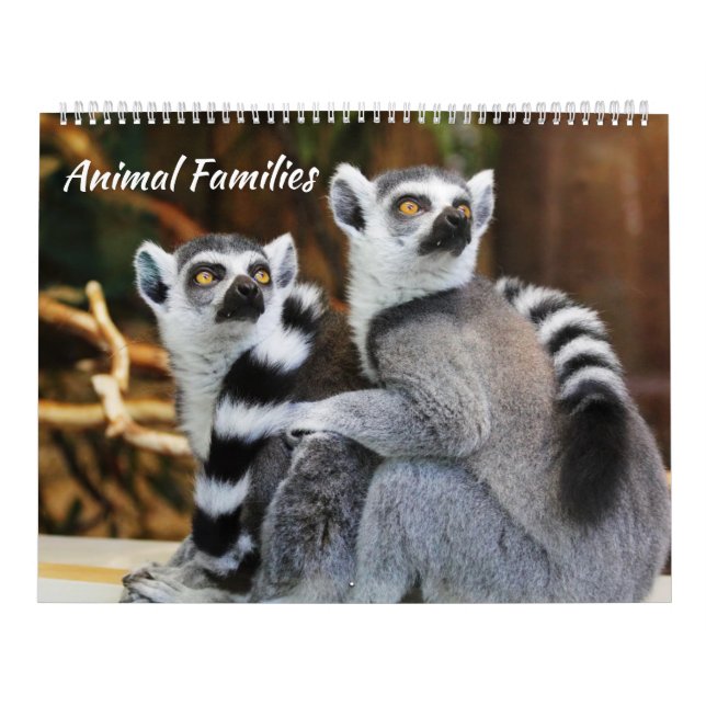 Calendário Famílias animais (Capa)
