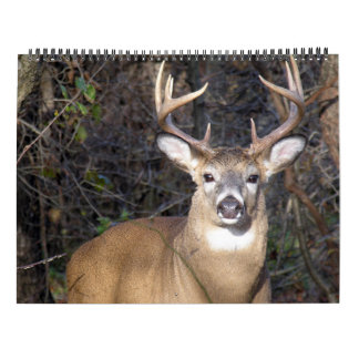 Calendário Fanfarrões dos cervos de Whitetail