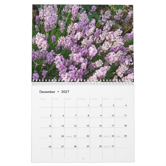 Calendário Farbzauber Lavendel (Dez 2027)