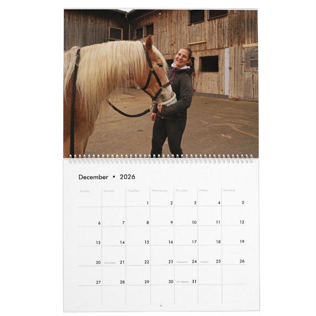 Calendário Fascination Haflinger (Dez 2026)