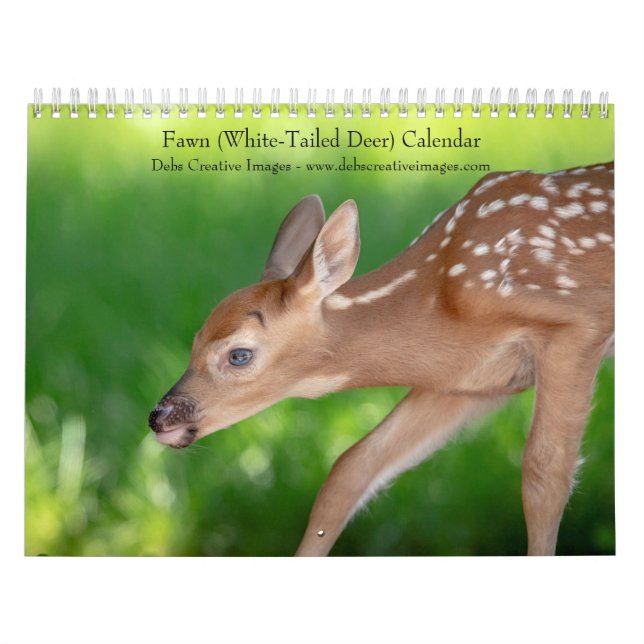 Calendário Fawn (veado branco) 2026 (Capa)