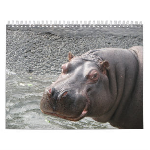 Calendário Feche levanta das caras 2014 do animal selvagem