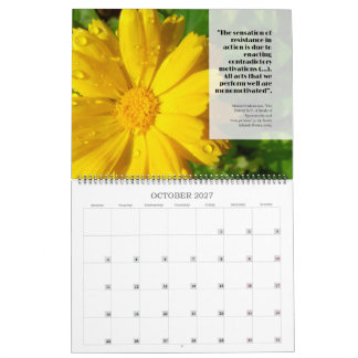 Calendário Feldy 2027: um ano em flor