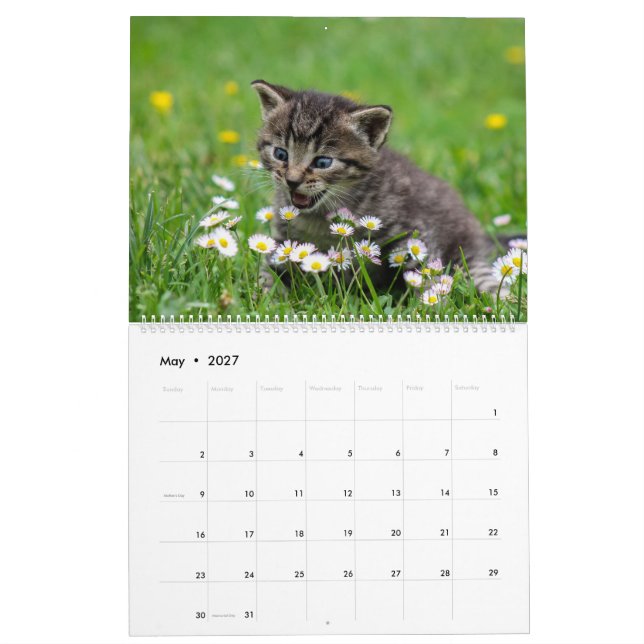 Calendário Felino de Gatinhos Gatinhos Fofinhos Felinos 2020 (Maio 2027)