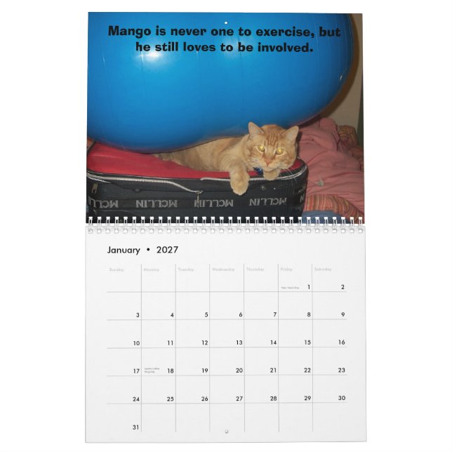 Calendário Filhote de cachorro da manga (Jan 2027)