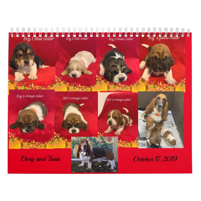 Calendário Filhotes de caça de base (Capa)