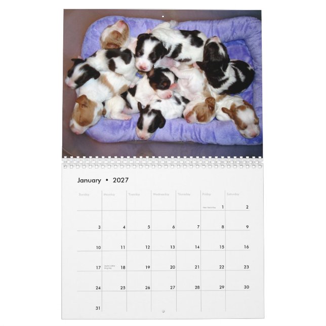 Calendário Filhotes de cachorro 2010 de Brittany (Jan 2027)
