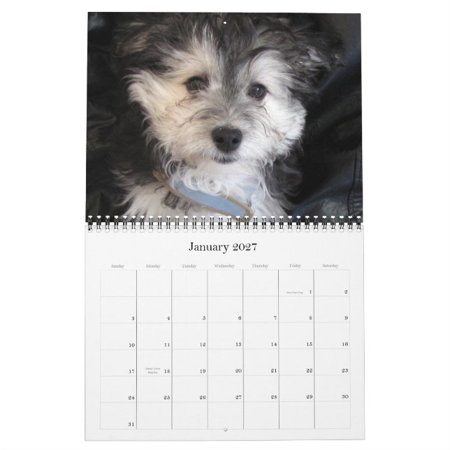 Calendário Filhotes de cachorro 2011 de Havanese Rescu (Jan 2027)