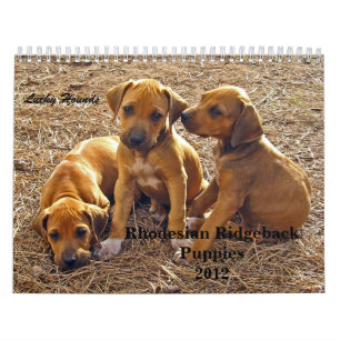 Calendário Filhotes de cachorro 2012 de Rhodesian Ridgeback