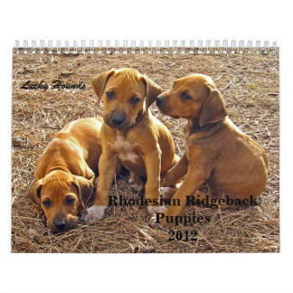 Calendário Filhotes de cachorro 2012 de Rhodesian Ridgeback